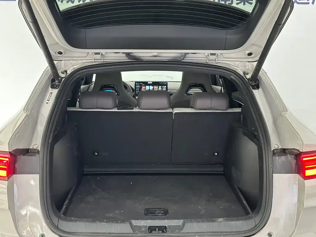 BYD PLUS New Energy 2025 из CN, фото 9