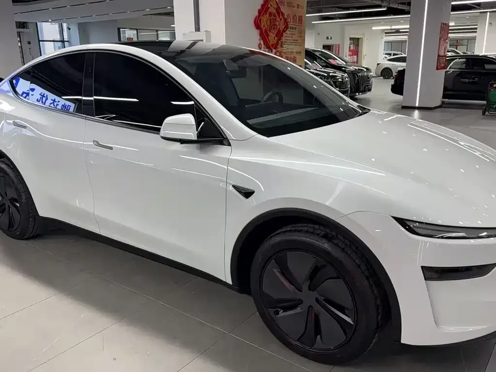 Tesla Model Y 2025 из CN, фото 3