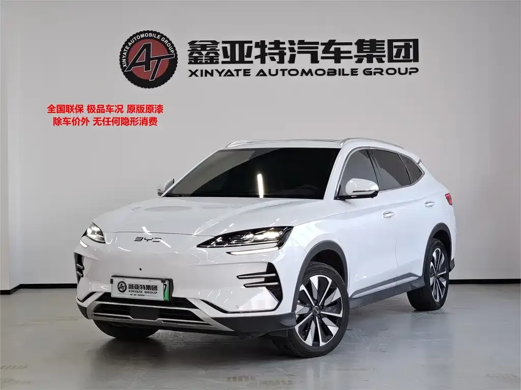 BYD PLUS New Energy 2024 из CN, фото 1
