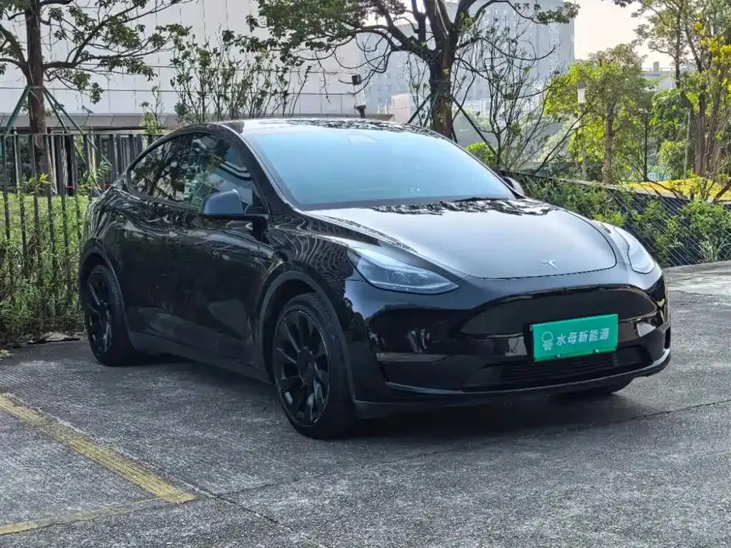 Tesla Model Y 2021 из CN, фото 1