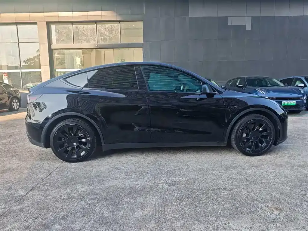 Tesla Model Y 2021 из CN, фото 4