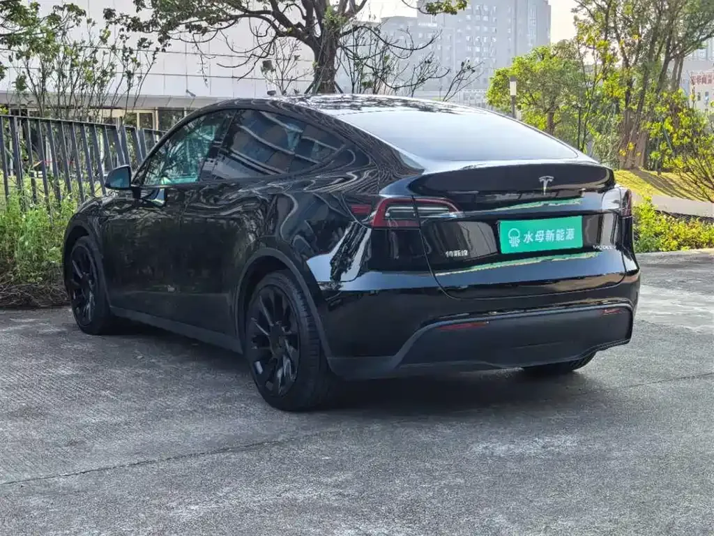 Tesla Model Y 2021 из CN, фото 6