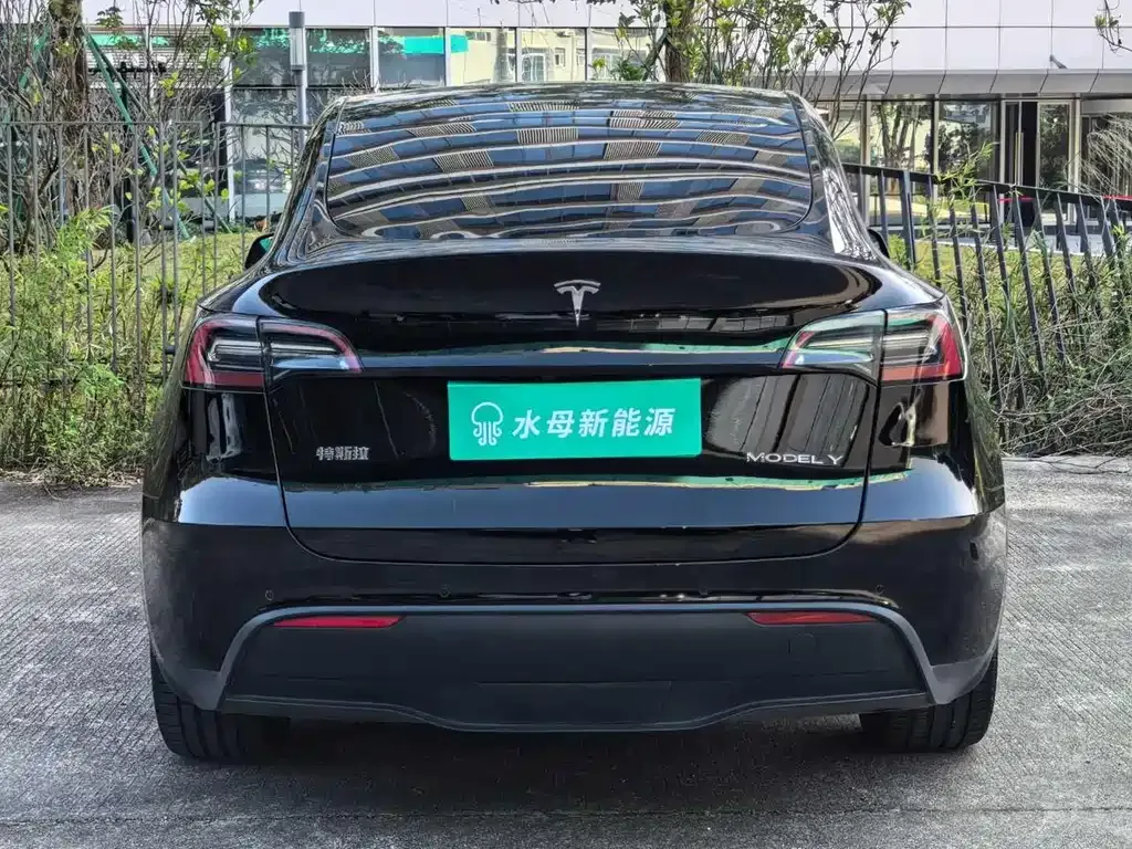 Tesla Model Y 2021 из CN, фото 8