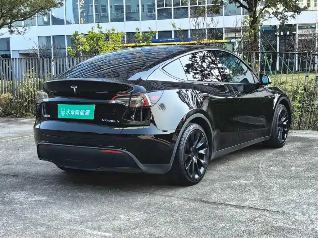 Tesla Model Y 2021 из CN, фото 10