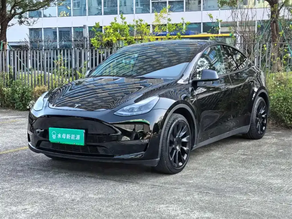 Tesla Model Y 2021 из CN, фото 7