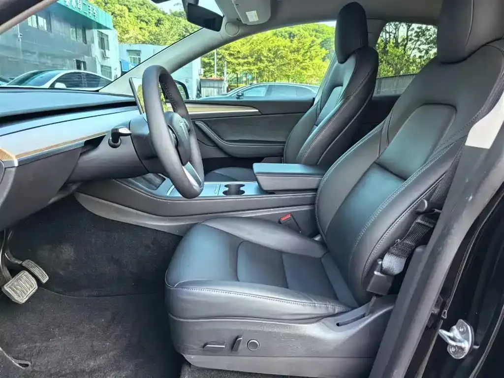 Tesla Model Y 2021 из CN, фото 5