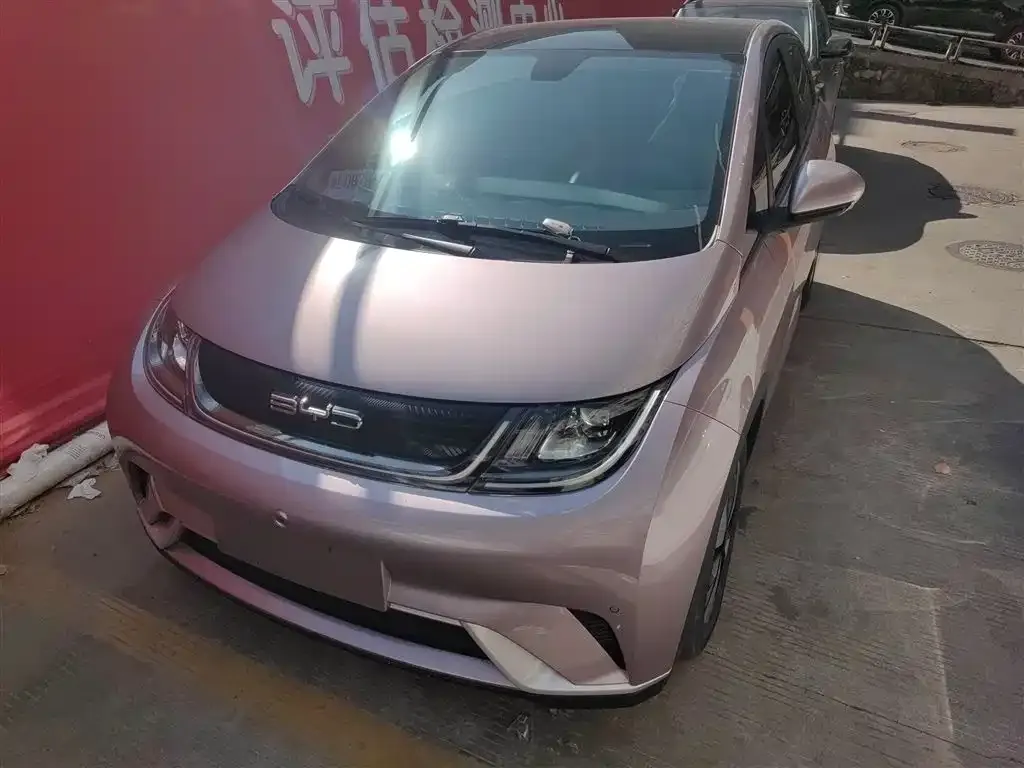 BYD Dolphin 2024 из CN, фото 2