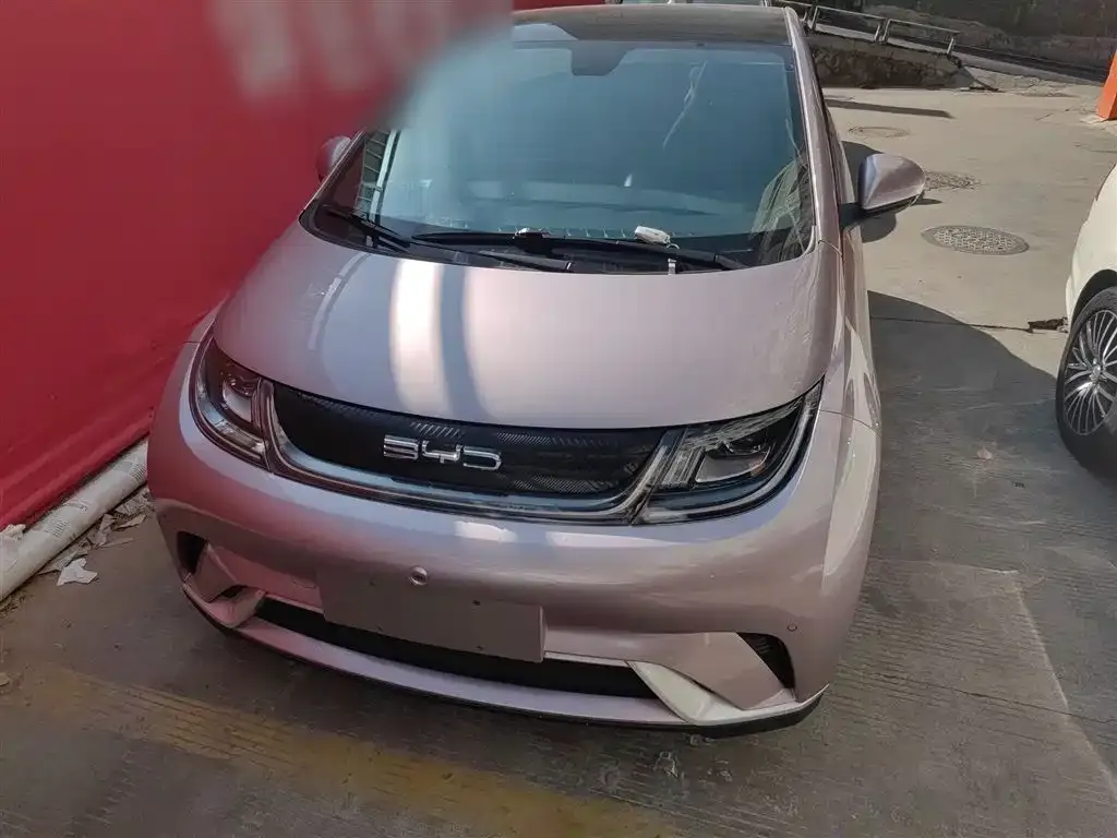 BYD Dolphin 2024 из CN, фото 6