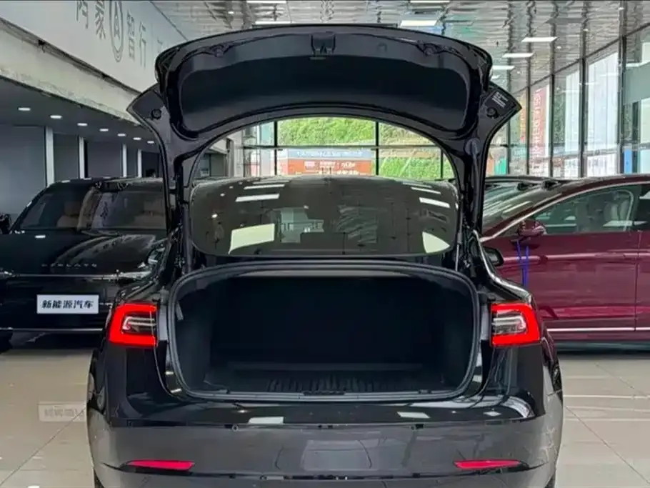Tesla Model 3 2023 из CN, фото 2