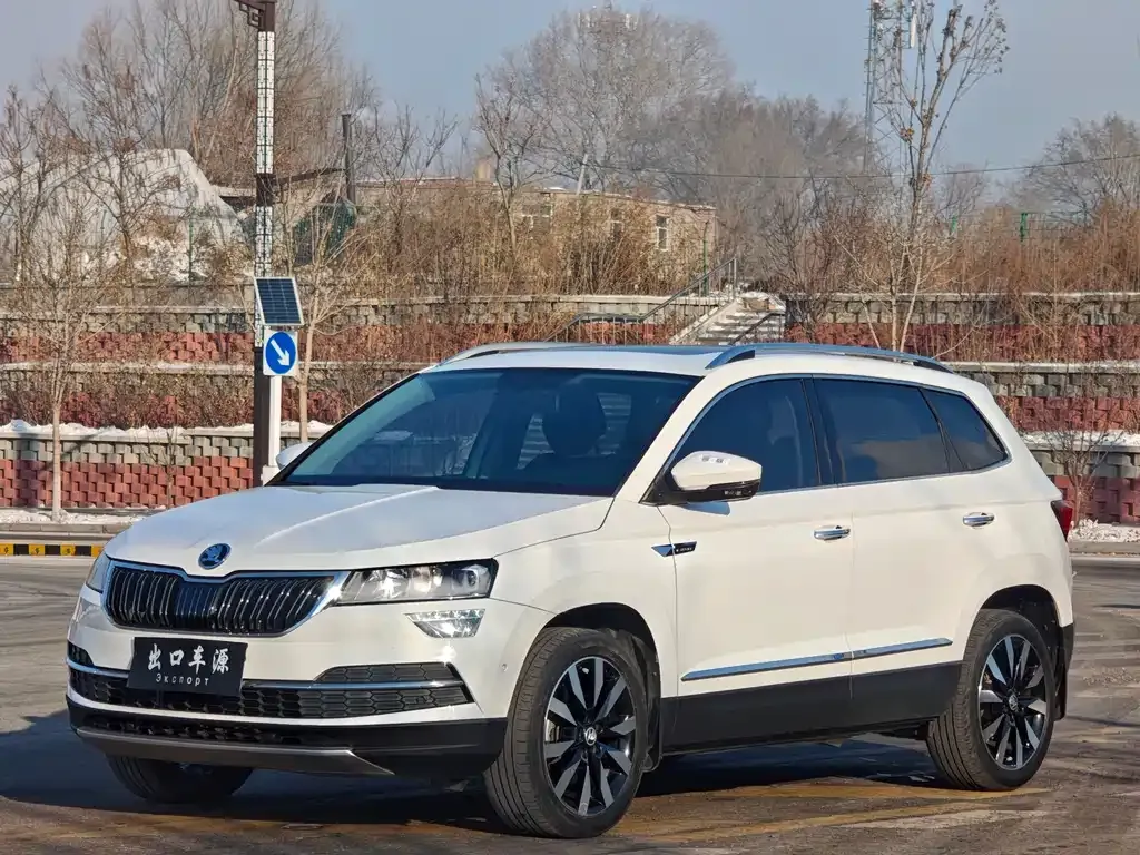 Skoda Karoq 2022 из CN, фото 9