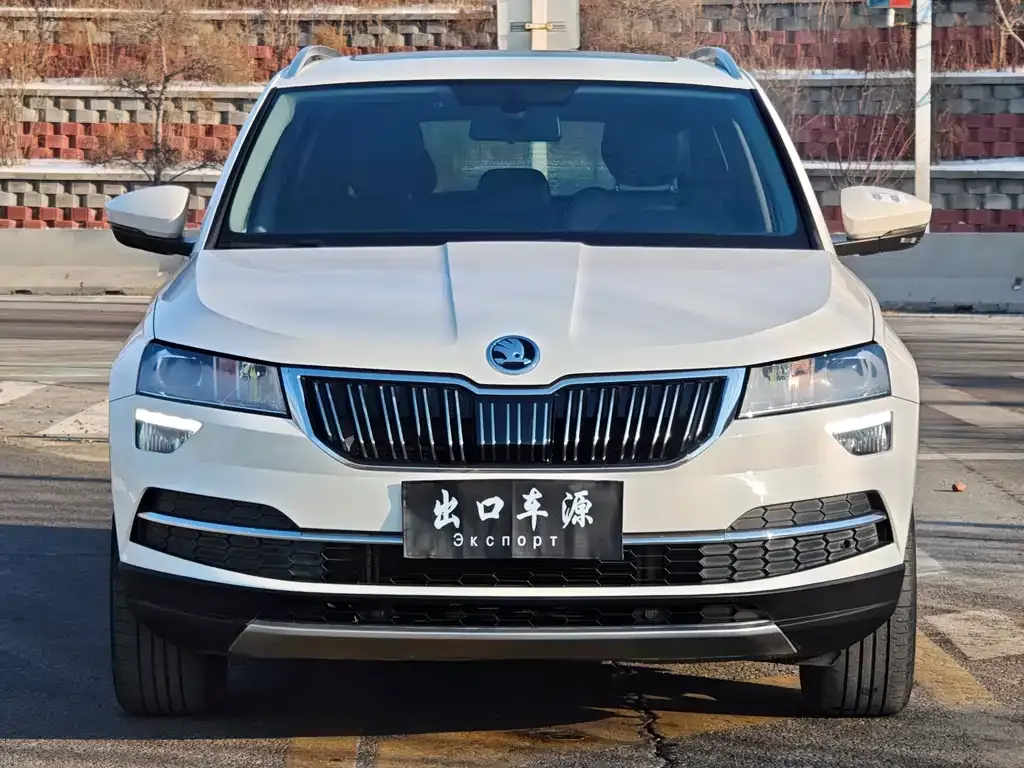 Skoda Karoq 2022 из CN, фото 5