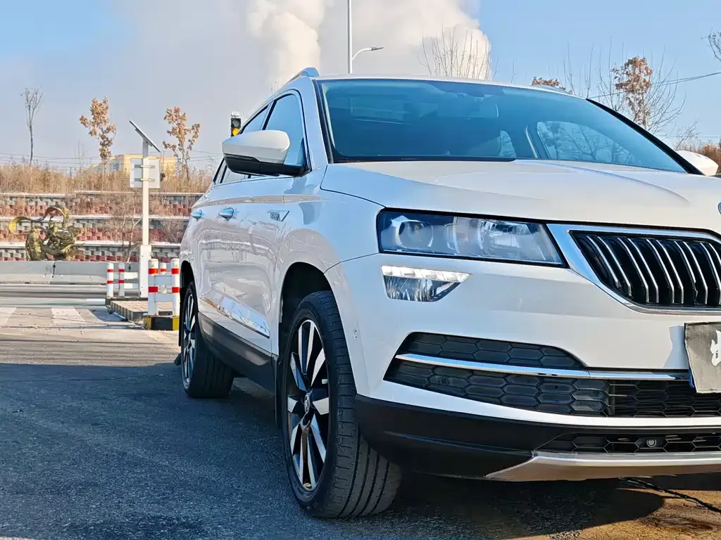Skoda Karoq 2022 из CN, фото 6