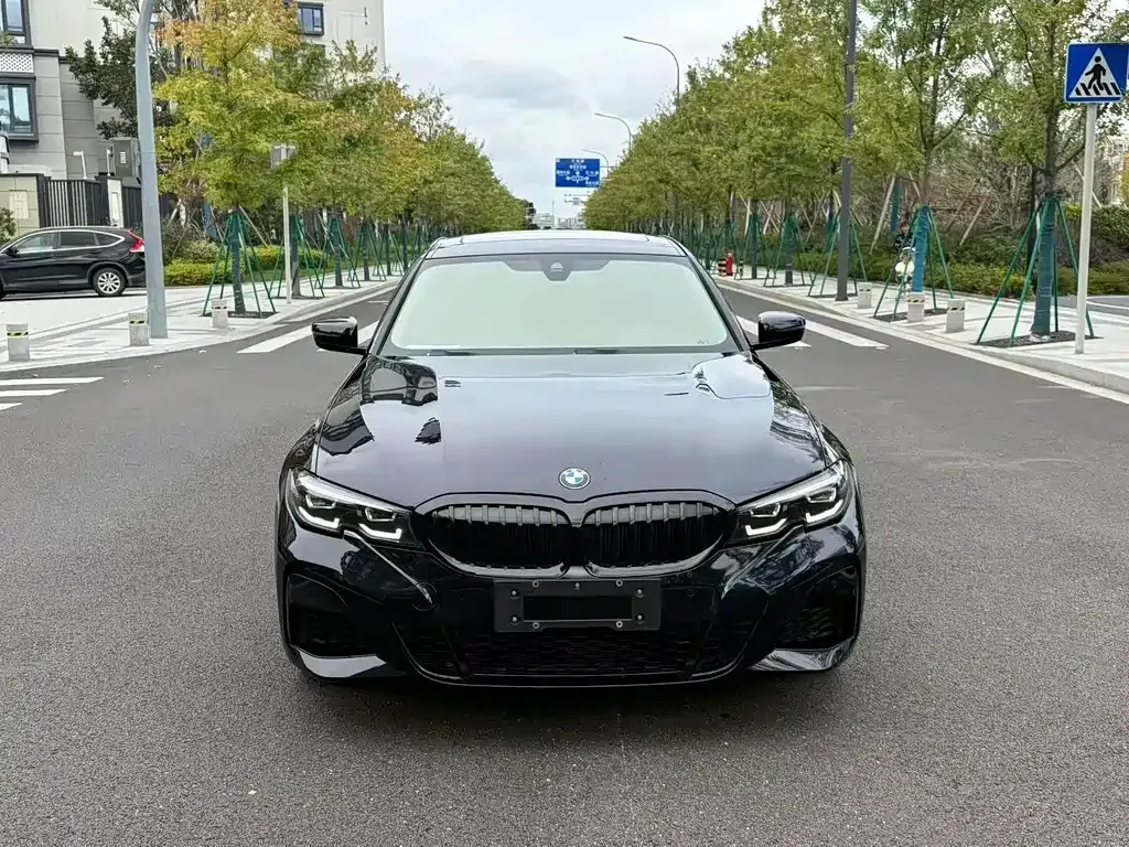 BMW 3 Series 2021 из CN, фото 6