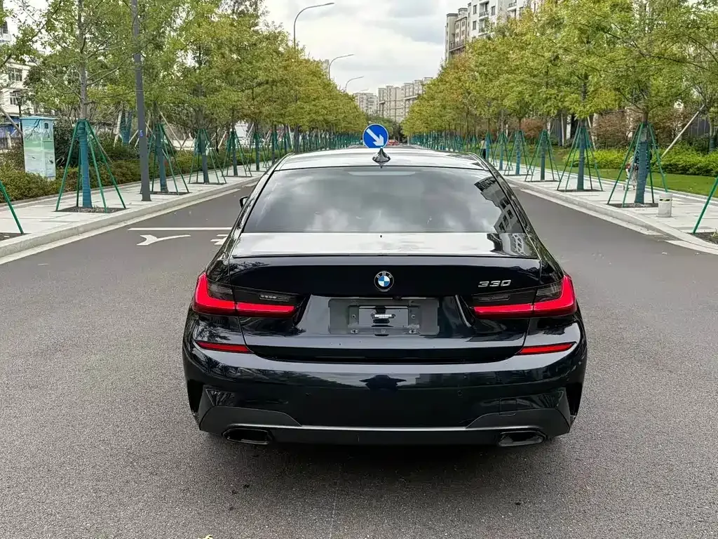 BMW 3 Series 2021 из CN, фото 7