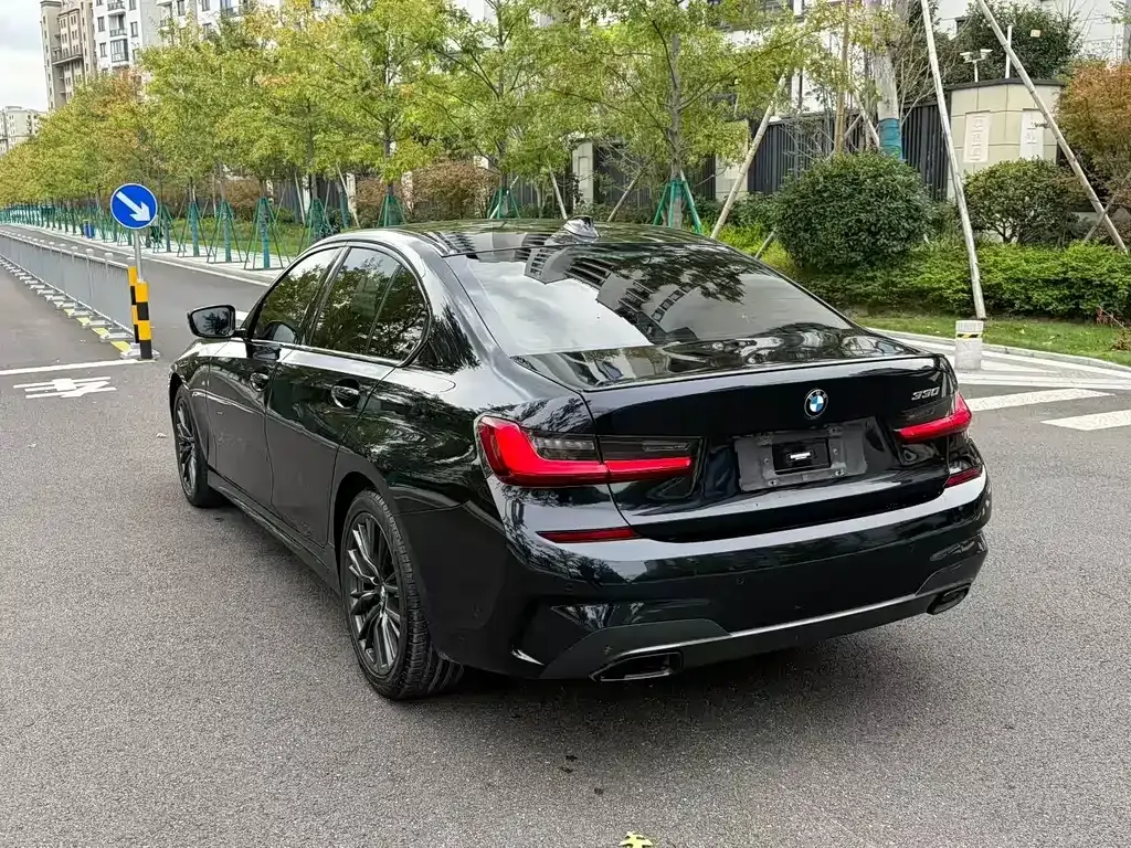 BMW 3 Series 2021 из CN, фото 10