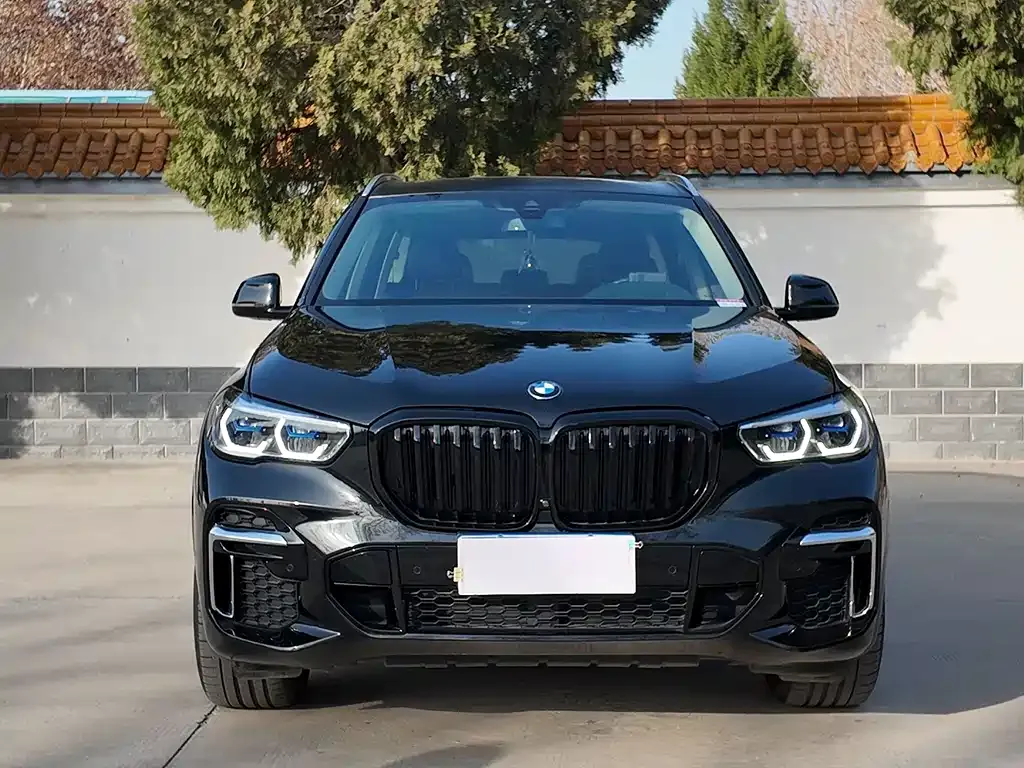BMW X5 2023 из CN, фото 1