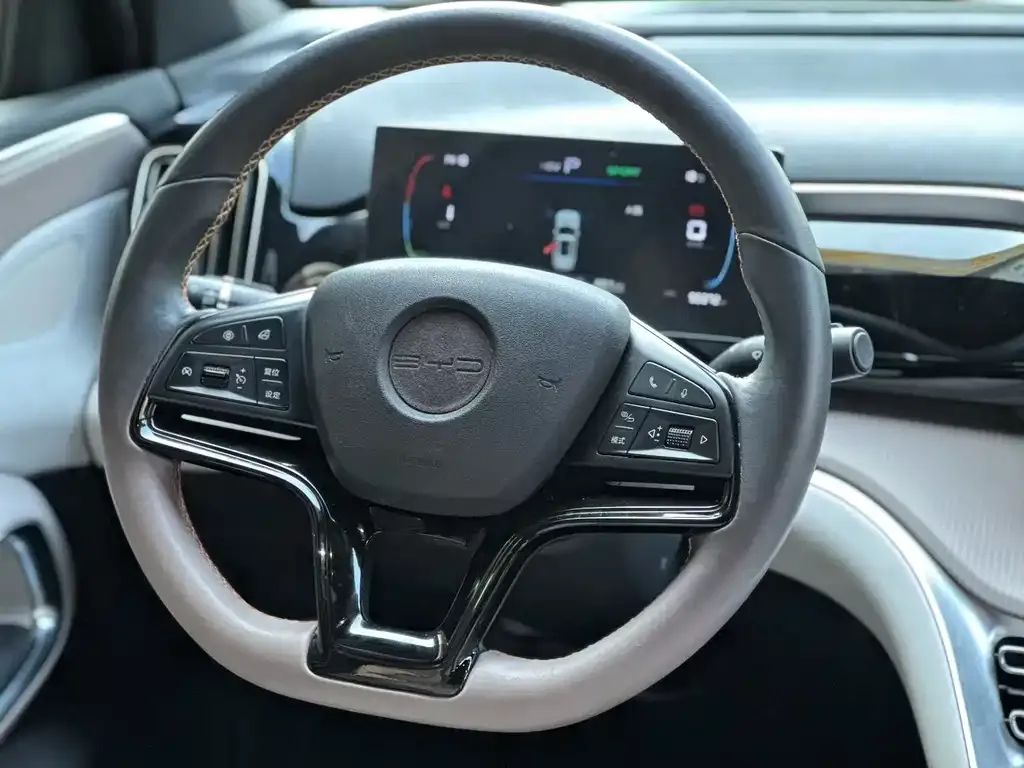 BYD Pro New Energy 2023 из CN, фото 2