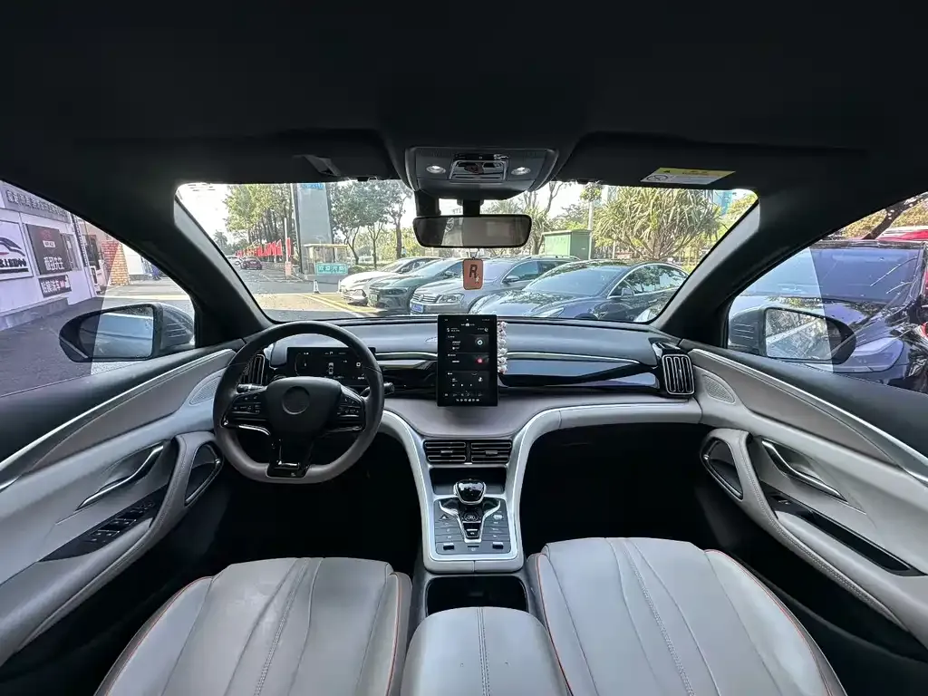 BYD Pro New Energy 2023 из CN, фото 6