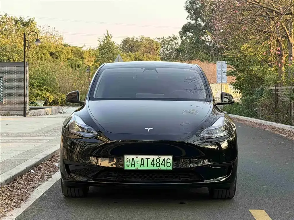 Tesla Model Y — фото 1