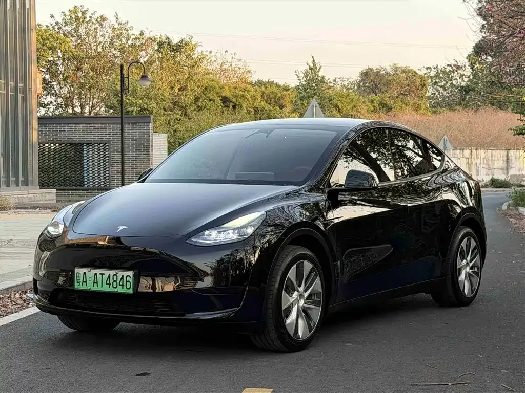 Tesla Model Y — фото 2