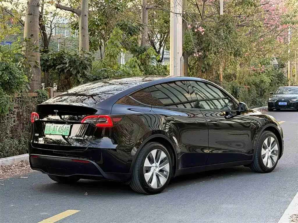 Tesla Model Y — фото 3