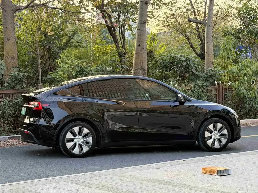 Tesla Model Y — фото 9
