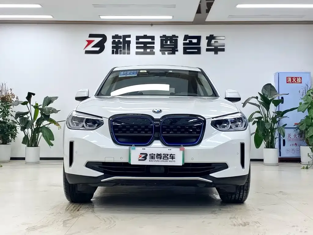 BMW iX3 2021 из CN, фото 2