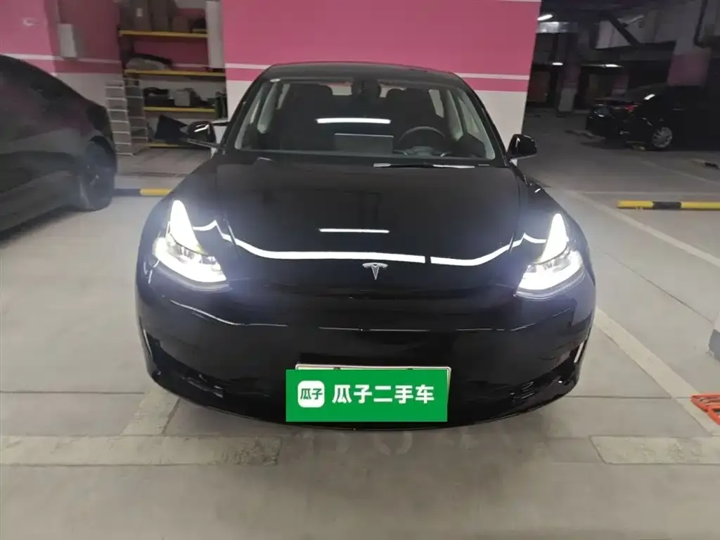 Tesla Model 3 2021 из CN, фото 3