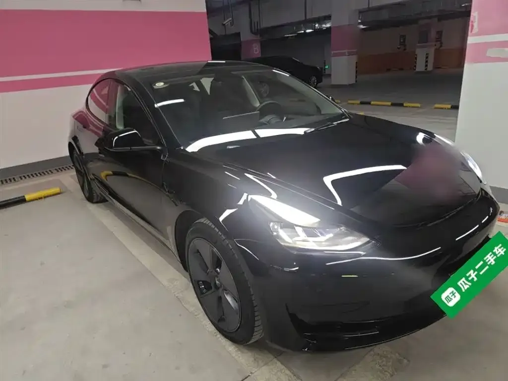 Tesla Model 3 2021 из CN, фото 4