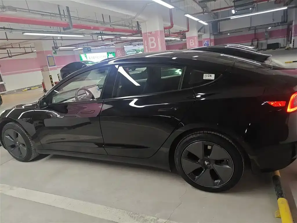 Tesla Model 3 2021 из CN, фото 5