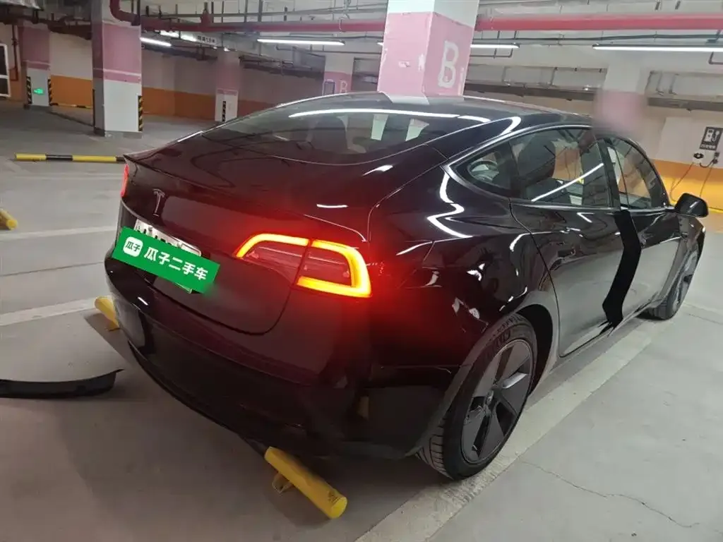 Tesla Model 3 2021 из CN, фото 7