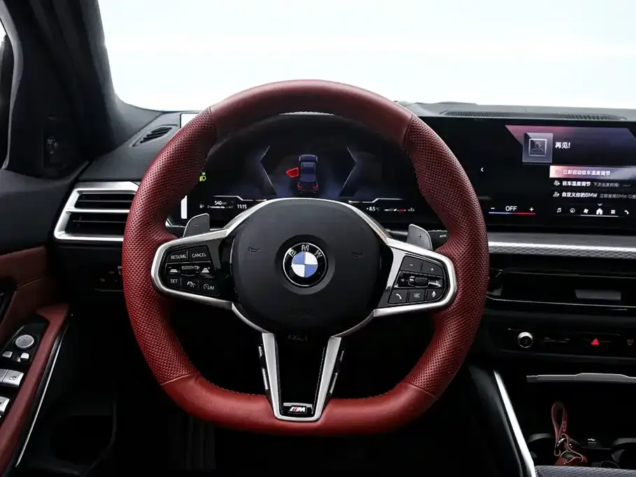 BMW 3 Series 2025 из CN, фото 8