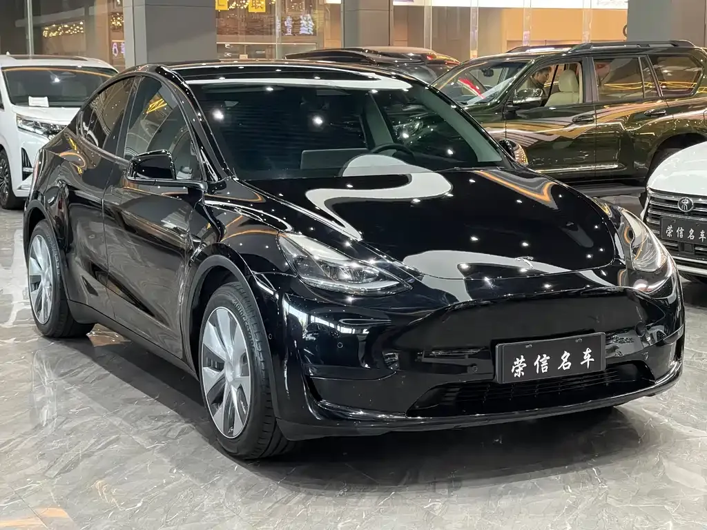 Tesla Model Y — фото 4