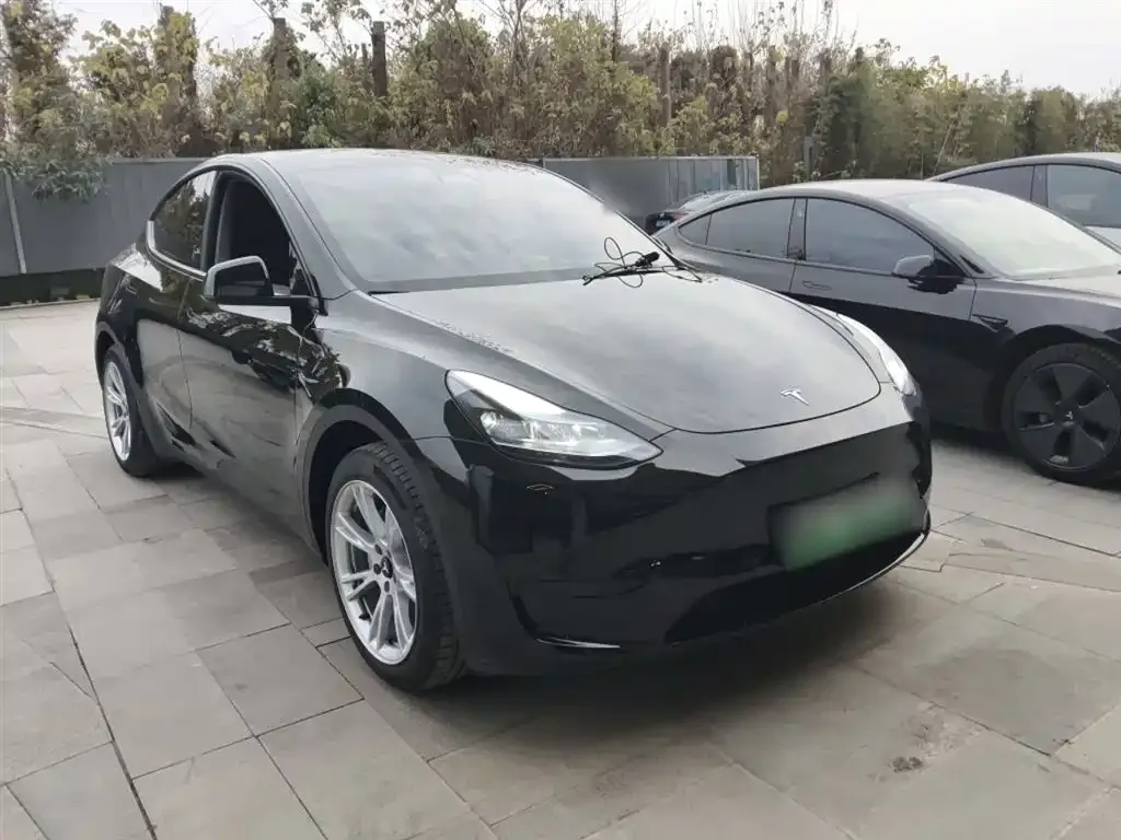 Tesla Model Y 2023 из CN, фото 6