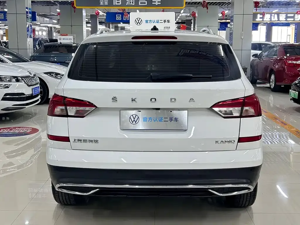 Skoda Kamiq 2023 из CN, фото 8
