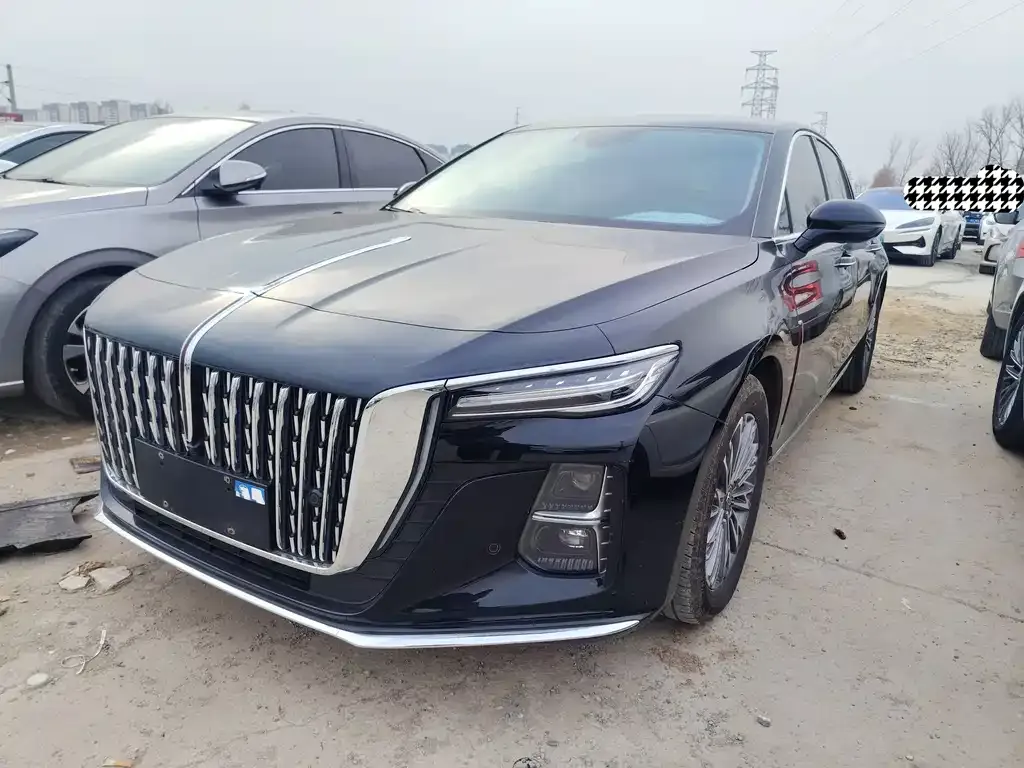 Hongqi H5 2024 из CN, фото 1