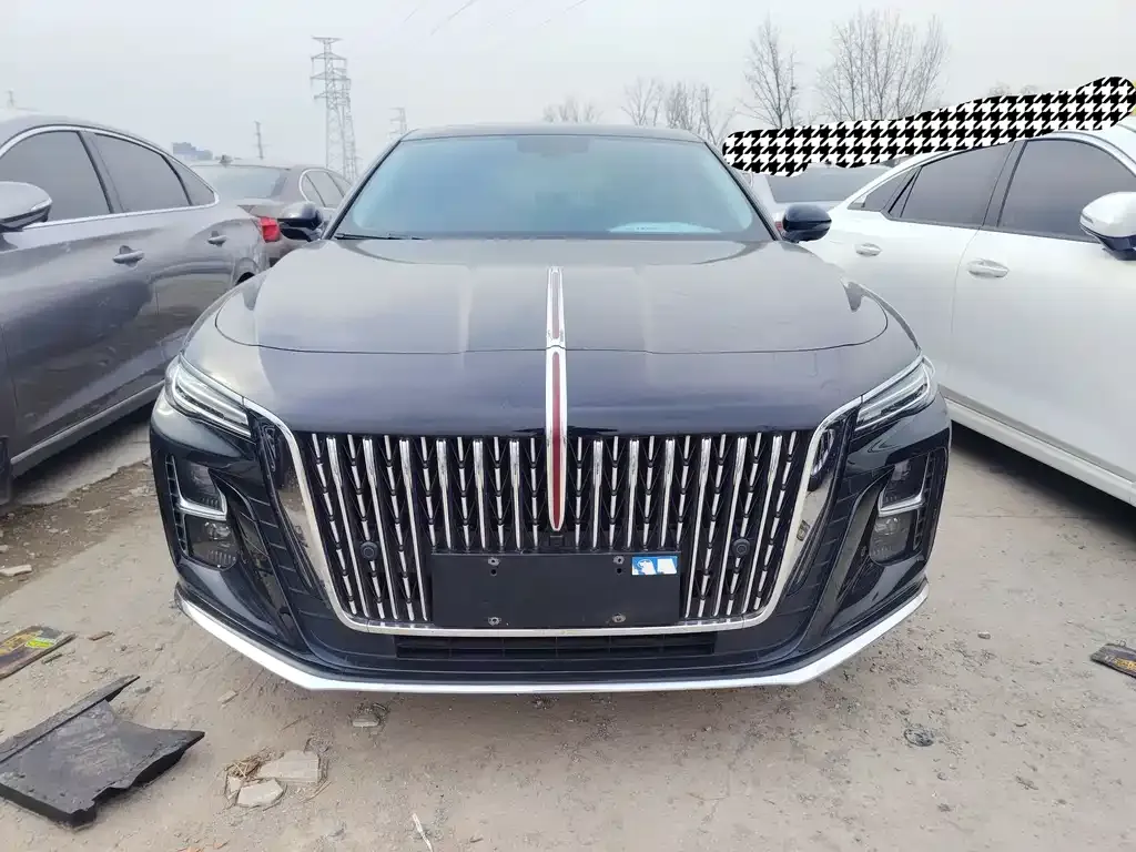 Hongqi H5 2024 из CN, фото 3