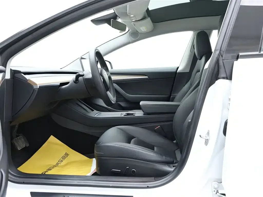 Tesla Model 3 2021 из CN, фото 2