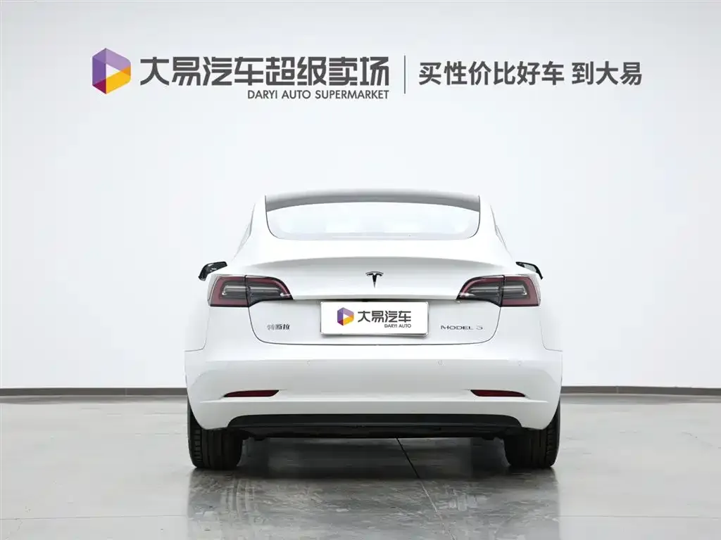 Tesla Model 3 2021 из CN, фото 3