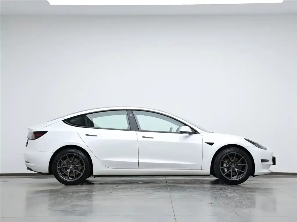 Tesla Model 3 2021 из CN, фото 4