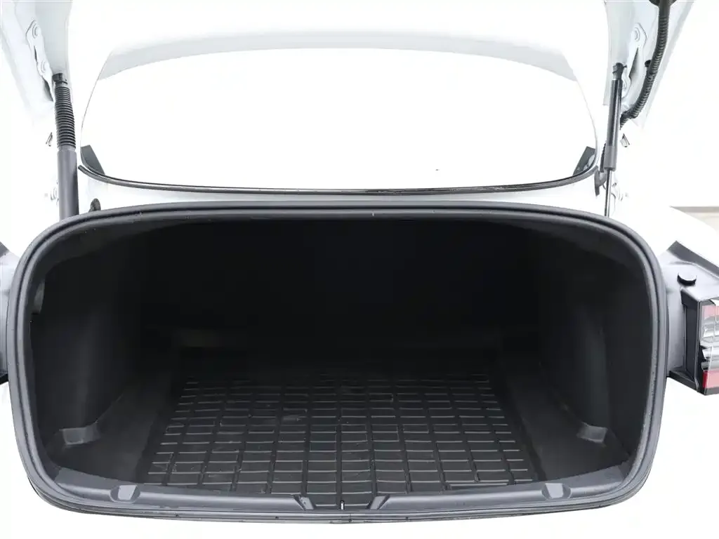 Tesla Model 3 2021 из CN, фото 9