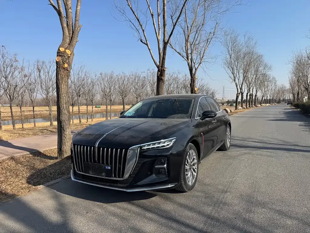 Hongqi H5 2023 из CN, фото 1