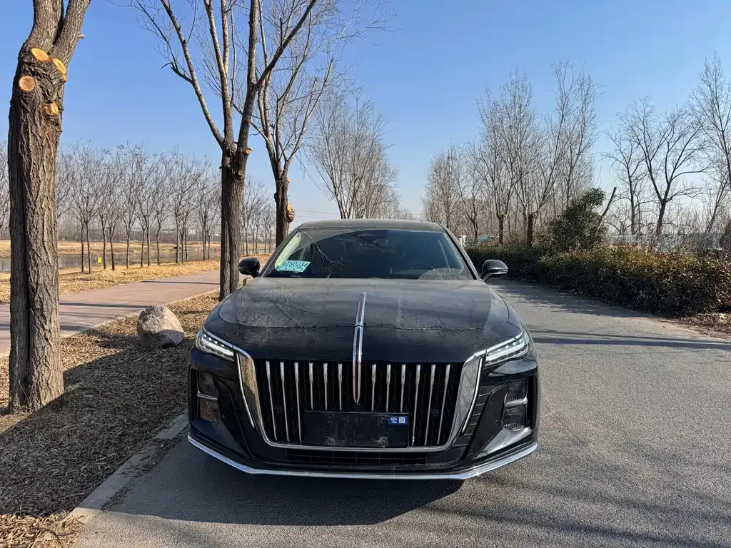Hongqi H5 2023 из CN, фото 7
