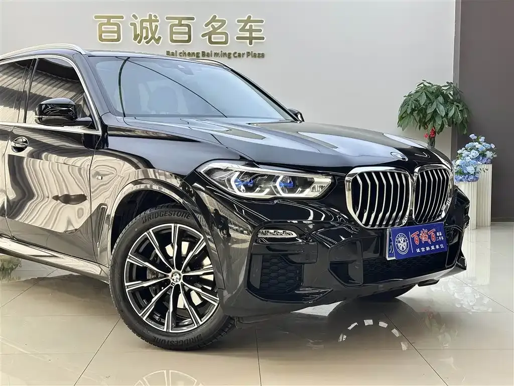 BMW X5 (Import) 2021 из CN, фото 9