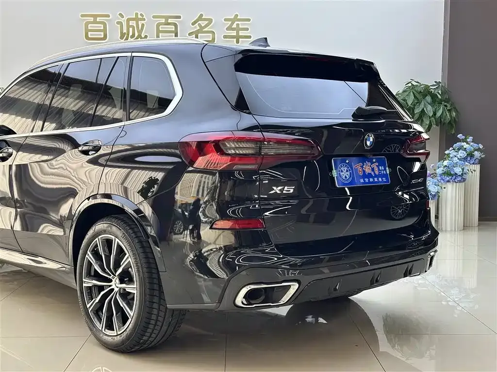 BMW X5 (Import) 2021 из CN, фото 7