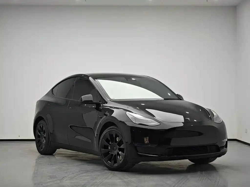 Tesla Model Y — фото 7