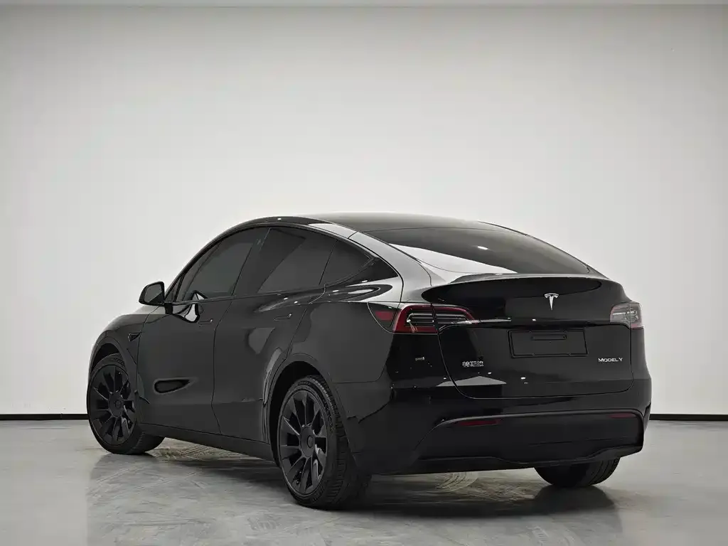 Tesla Model Y — фото 10
