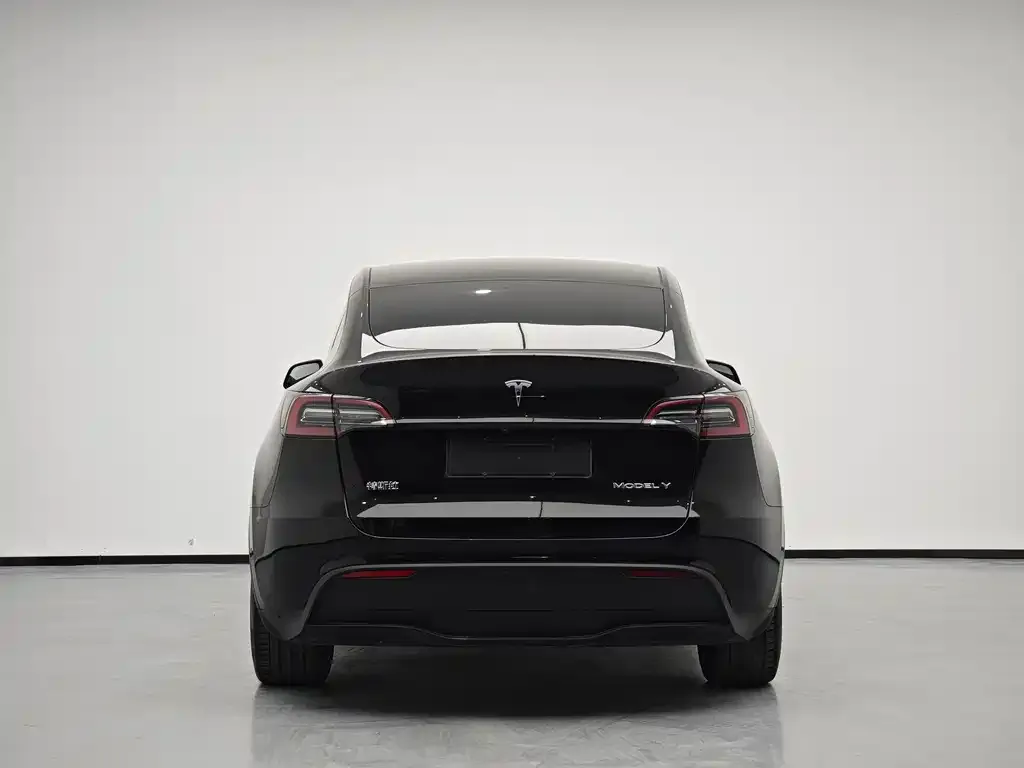 Tesla Model Y — фото 5