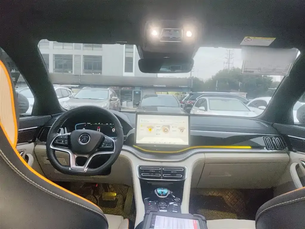 BYD PLUS New Energy 2022 из CN, фото 10