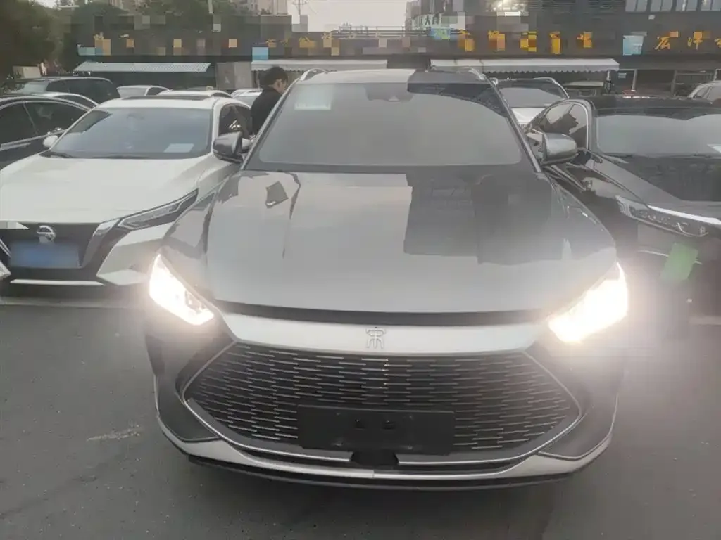 BYD PLUS New Energy 2022 из CN, фото 3